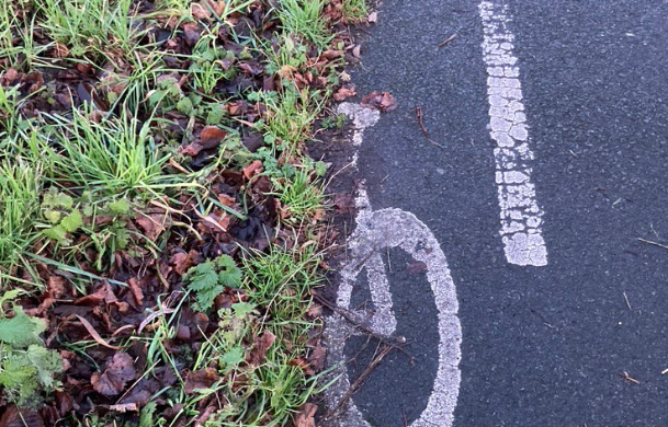 grass growing on cycle lane